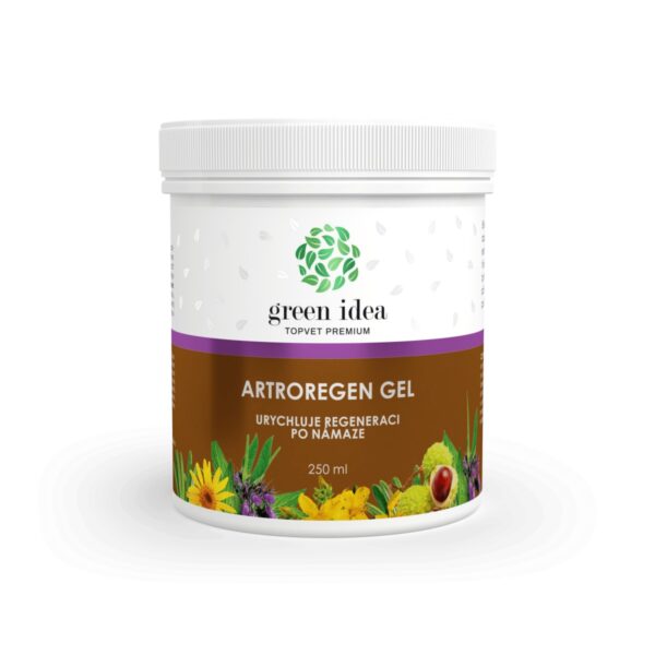 Green Idea Artroregen - masážní gel 250ml